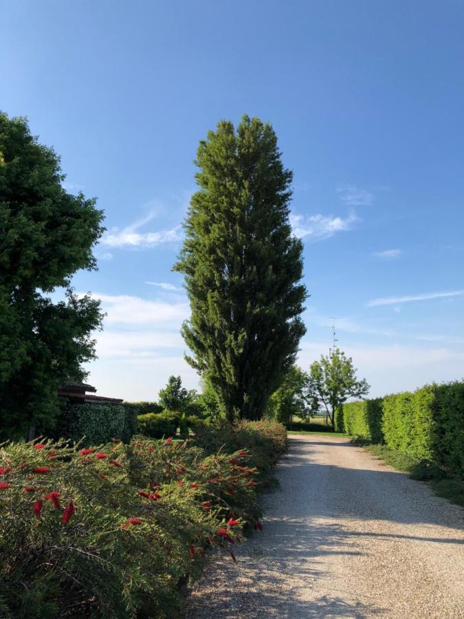 Via D' Este 8 Gualtieri Buitenkant foto